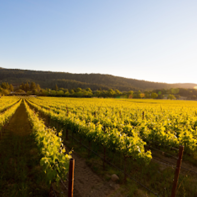 Annadel Estate Winery