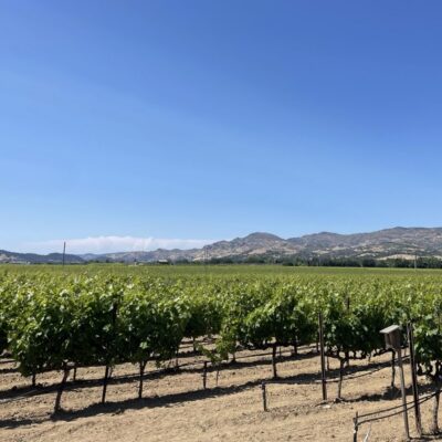 Robert Biale Vineyards