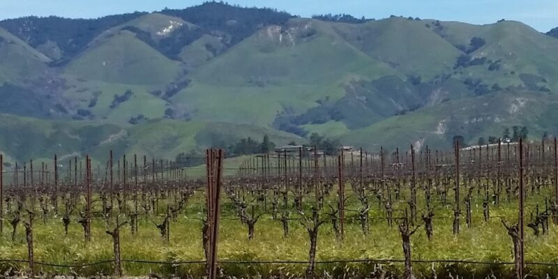 Pacific Coast Farming